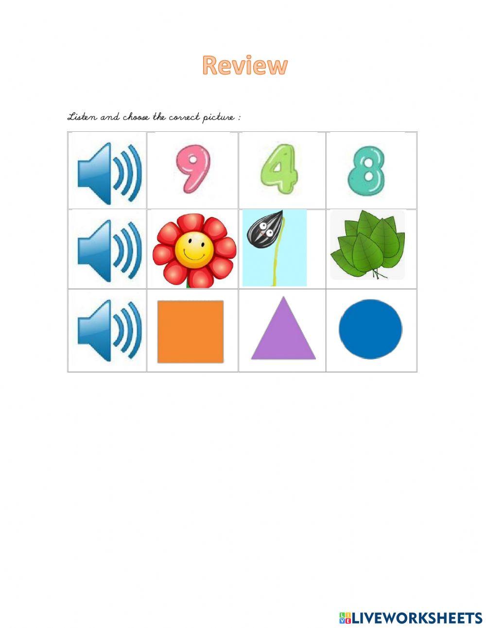 Review (numbers, parts of the plant and shapes)