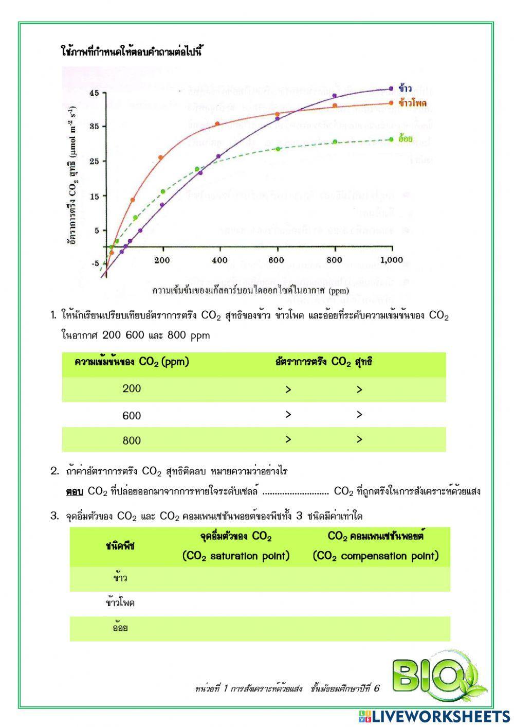 การสังเคราะห์ด้วยแสง : ปัจจัยที่มีผลต่อการสังเคราะห์ด้วยแสงของพืช