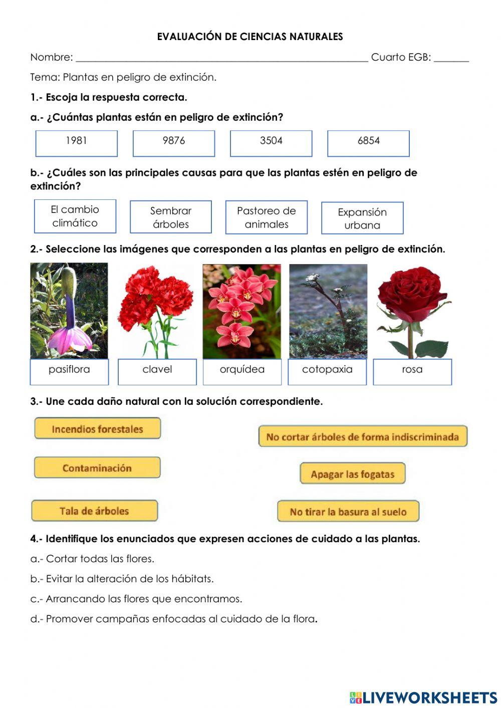 Plantas en peligro de extinción