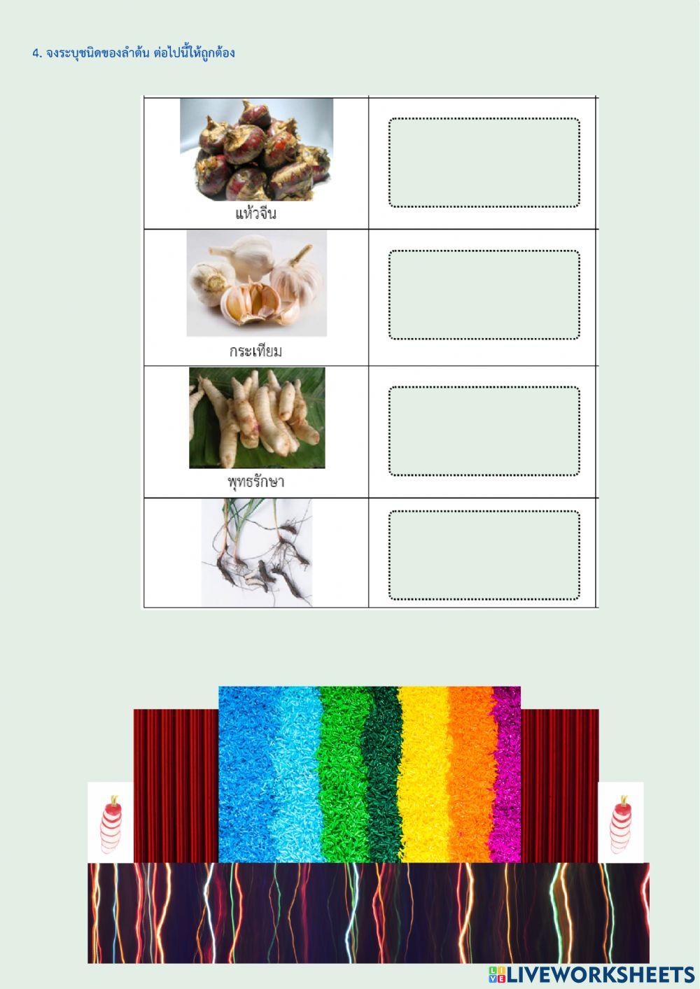 เนื้อเยื่อพืช