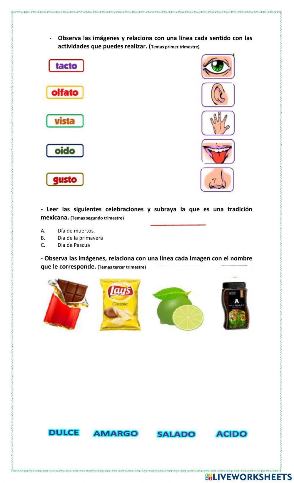 Guía global de Conocimiento del Medio 2°