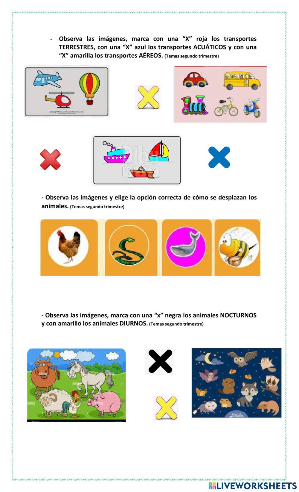 Guía global de Conocimiento del Medio 2°