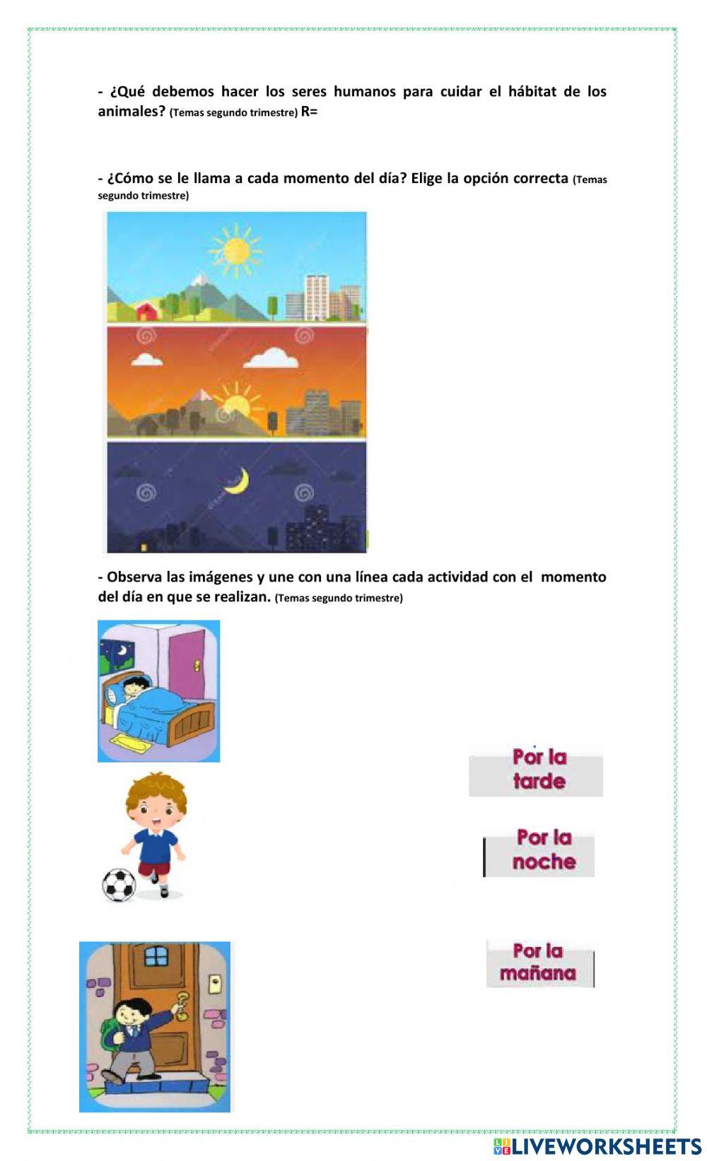 Guía global de Conocimiento del Medio 2°