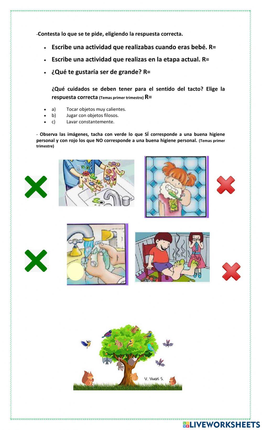 Guía global de Conocimiento del Medio 2°