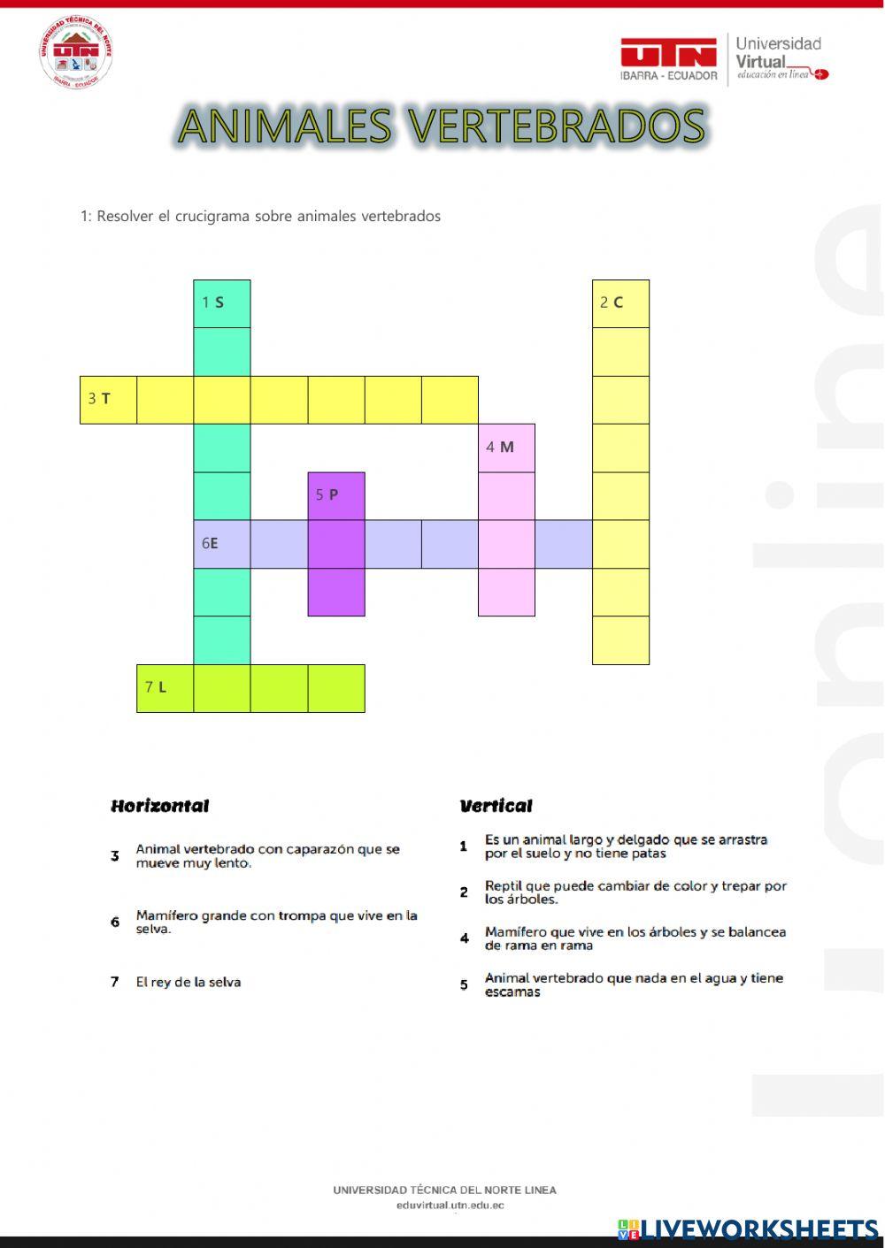 Clasificacion de los animales