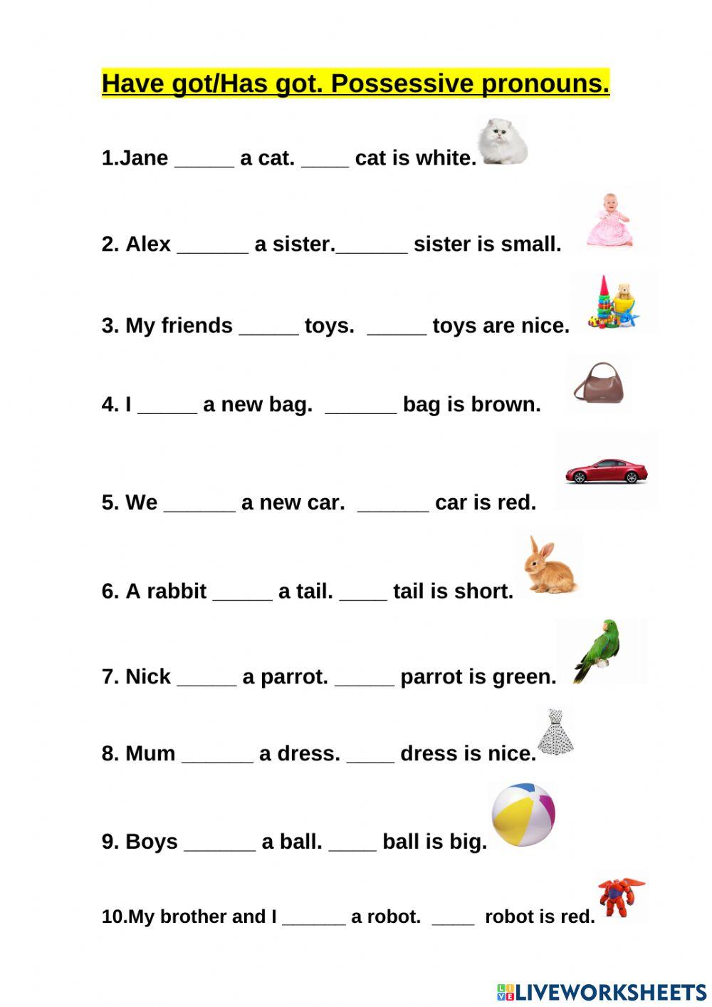 Have got-Has got. Possessive pronouns.