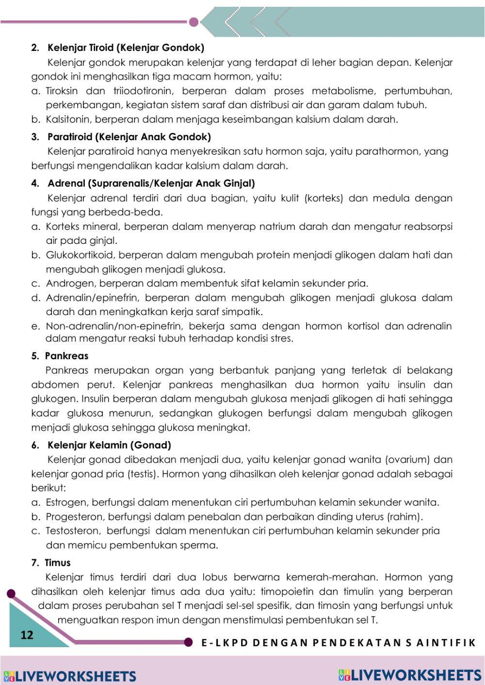 E-LKPD Sistem Endokrin