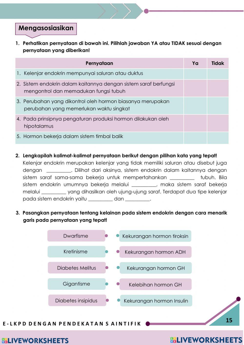 E-LKPD Sistem Endokrin