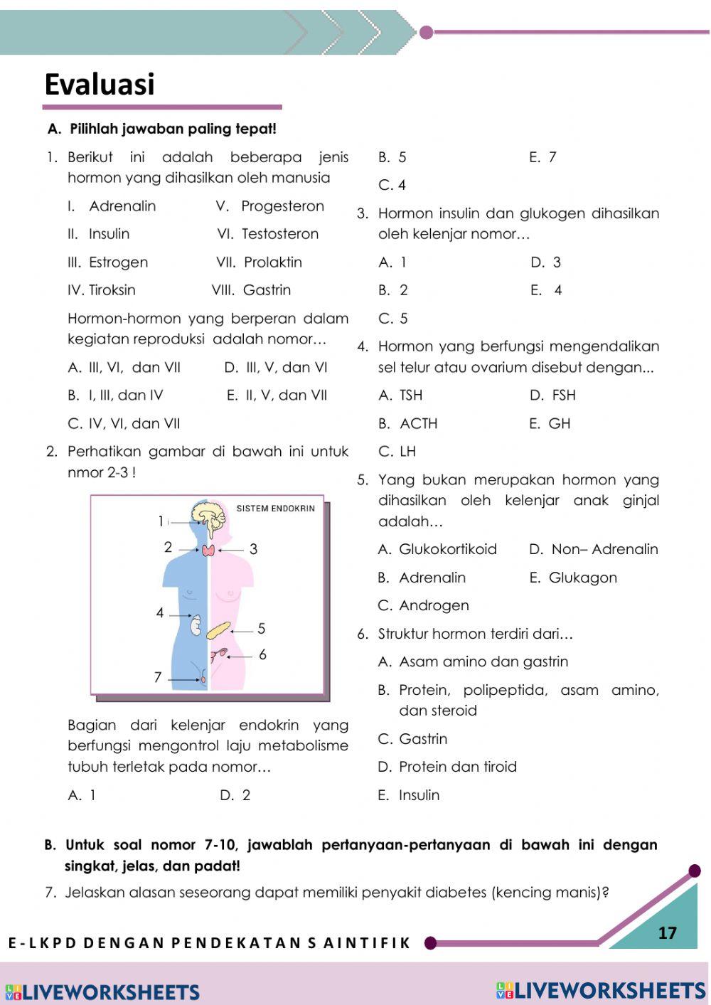 E-LKPD Sistem Endokrin