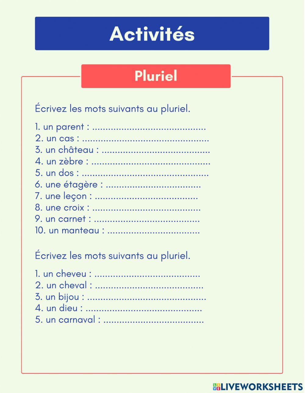 Activités Masculin Féminin et Pluriel