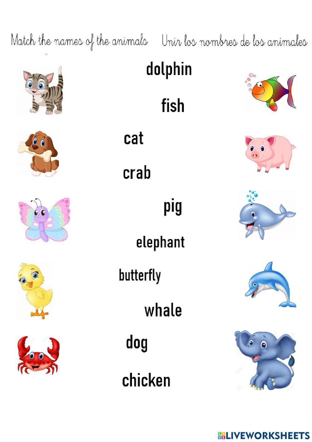 Animales online exercise for secundaria live worksheets