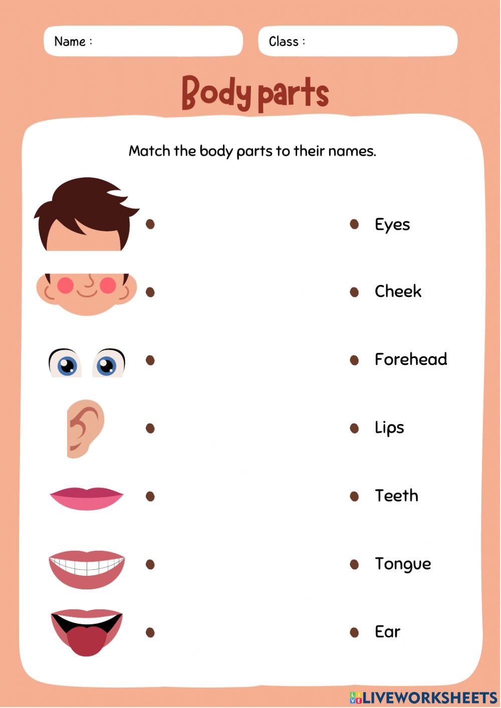 English kids exercises