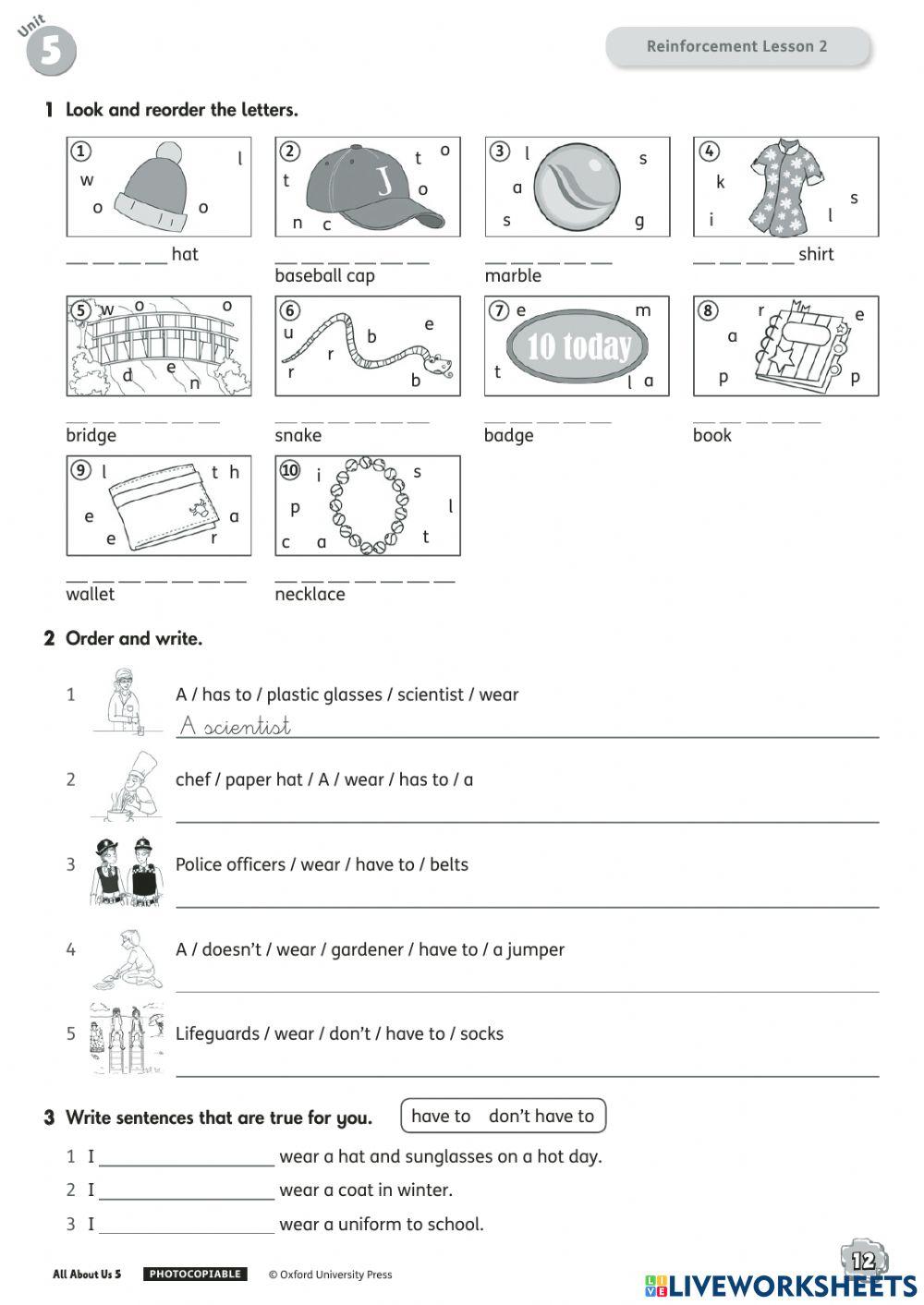 5º REINFORCEMENT UNIT 5