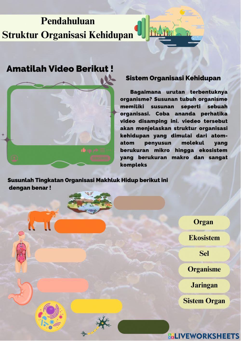 E-lkpd sistem organisasi kehidupan