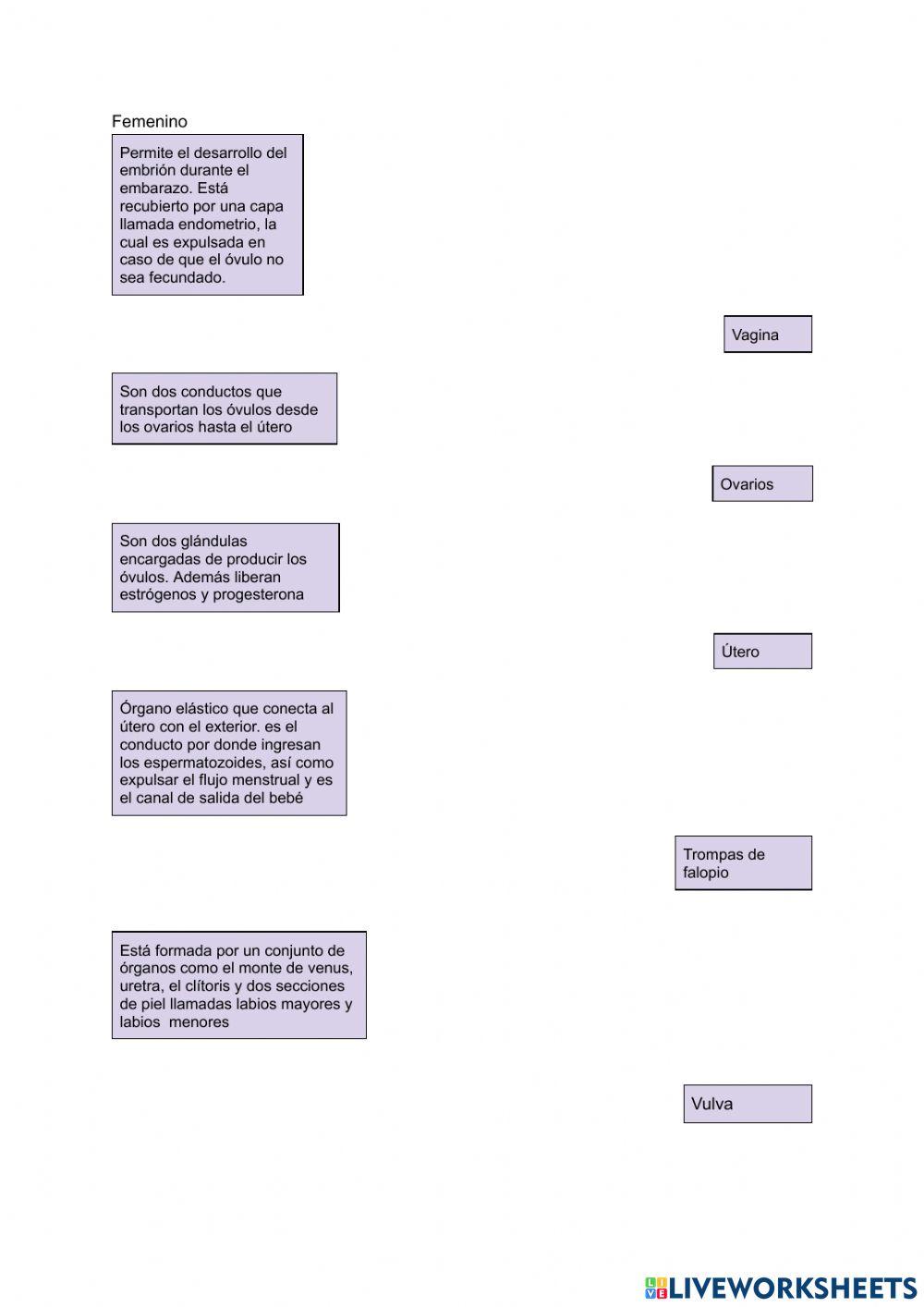 Sistemas reproductores