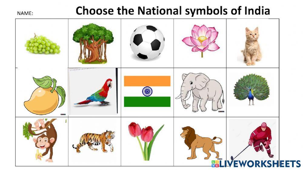 National symbols of india 7028380 CANARA HIGHER PRIMARY