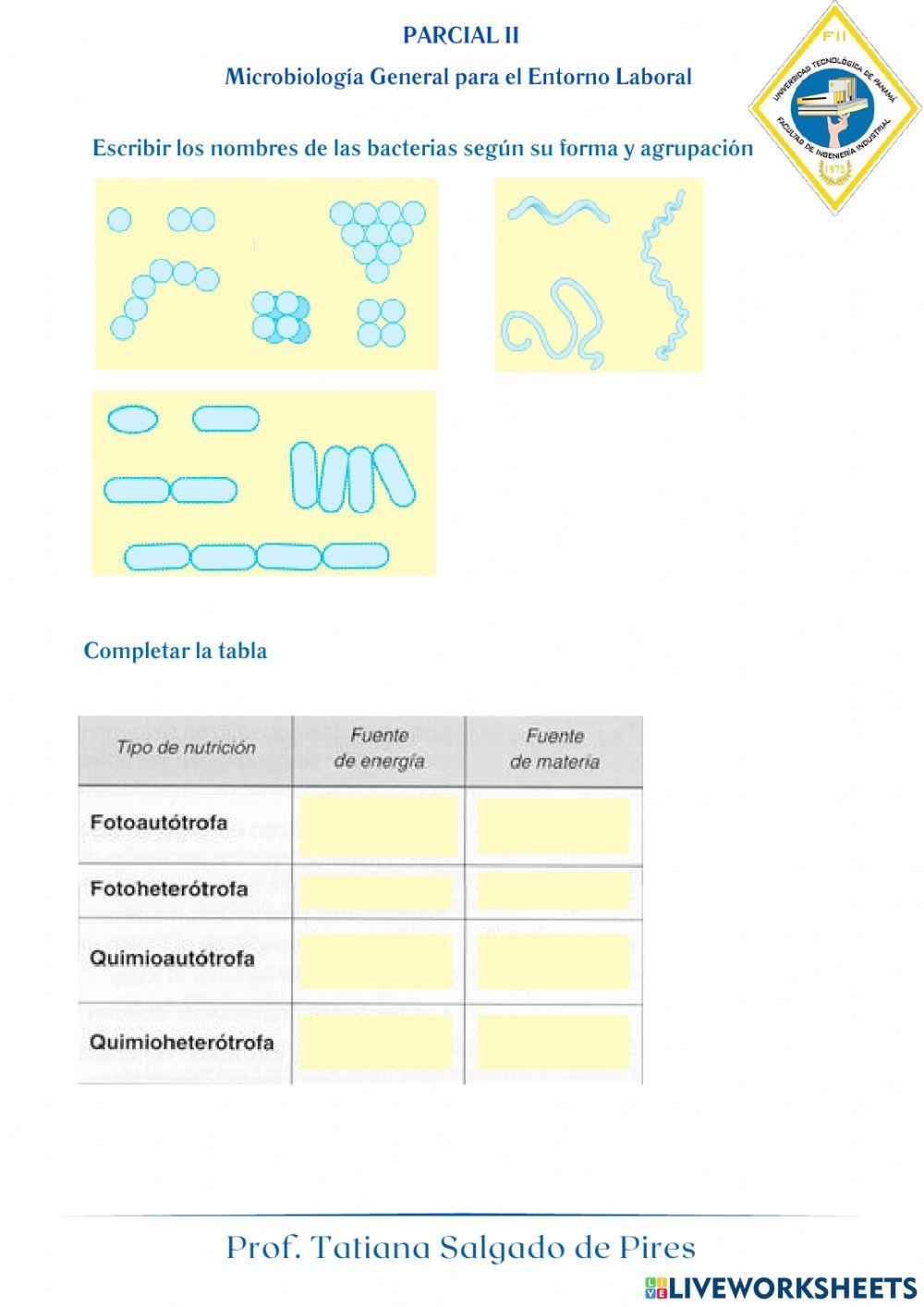 Parcial II microbiologia