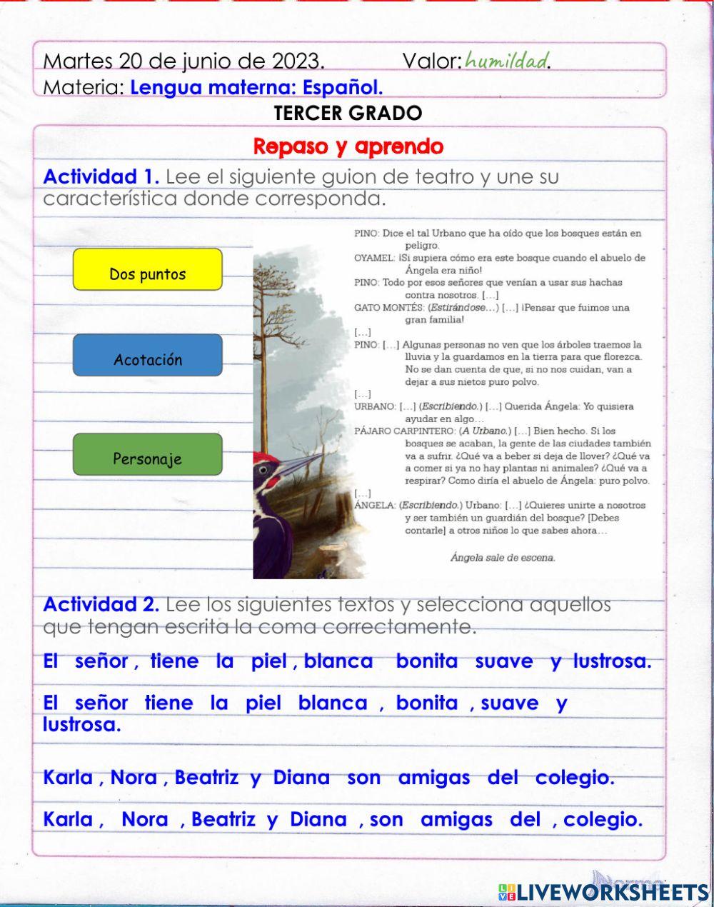 Repaso y aprendo de Lengua Materna: Español