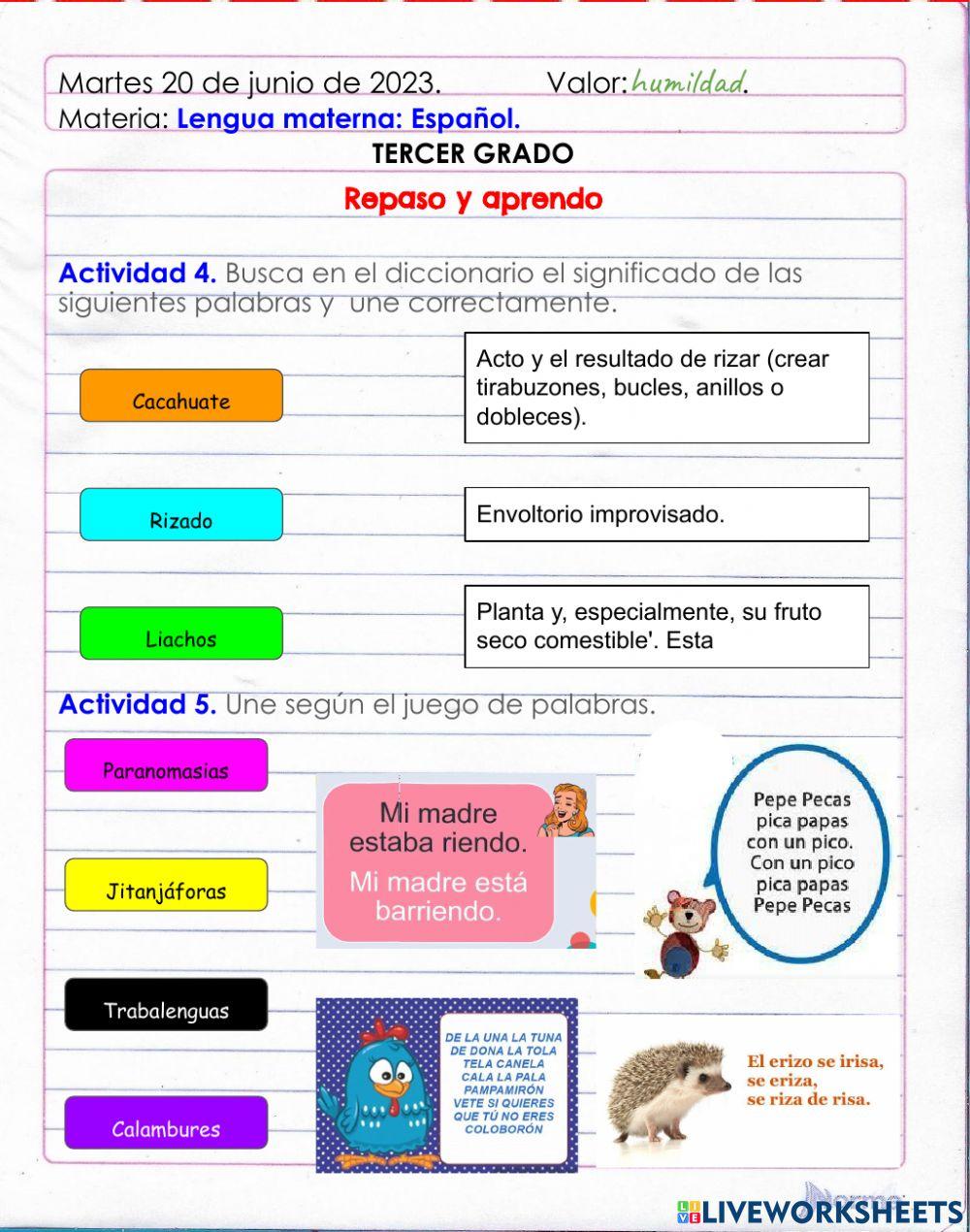 Repaso y aprendo de Lengua Materna: Español