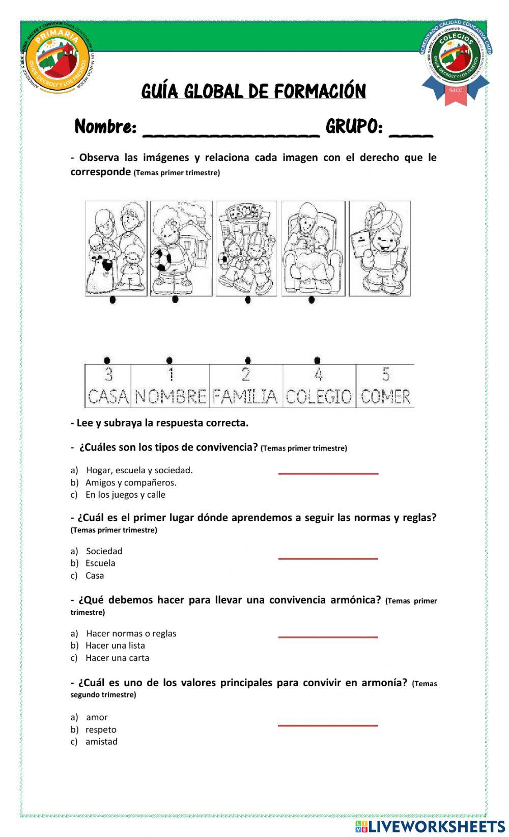 Guía global de formación