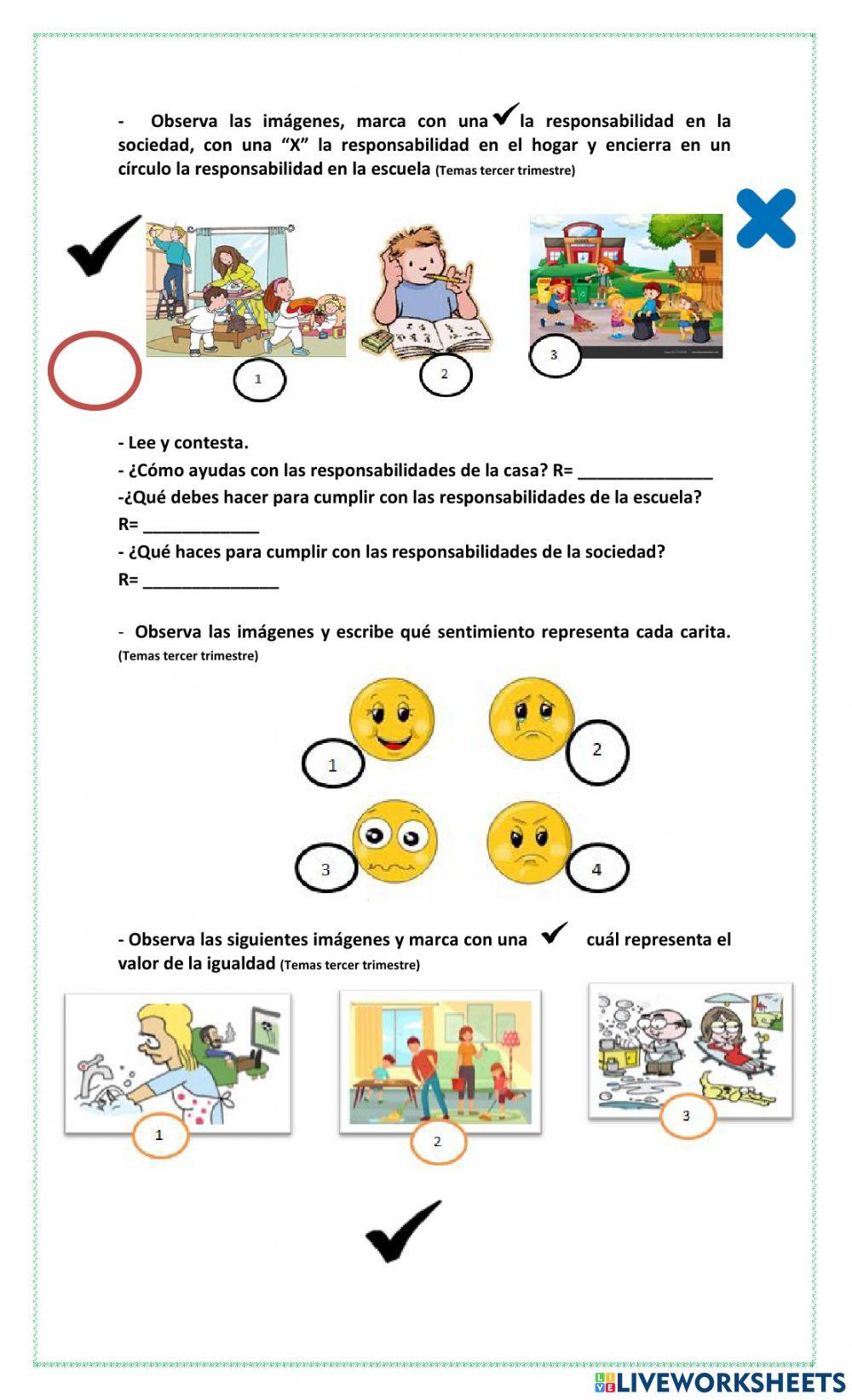 Guía global de formación