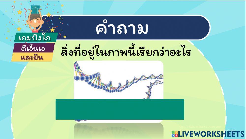 แบบฝึกหัด ยีนและดีเอ็นเอ (แก้ไข)