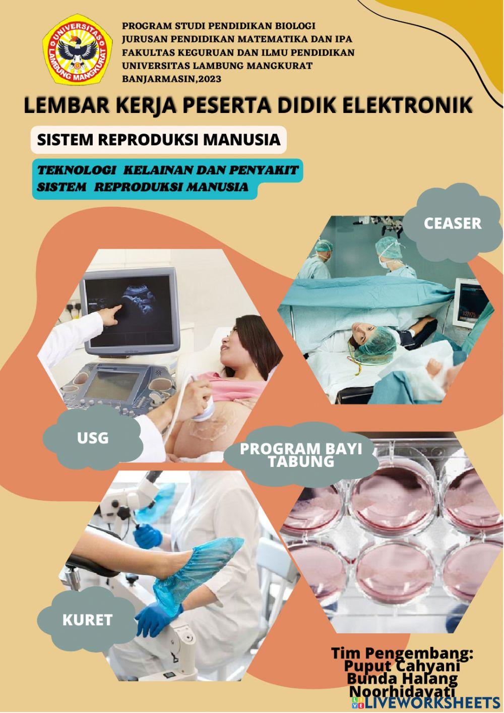 Sistem reproduksi manusia