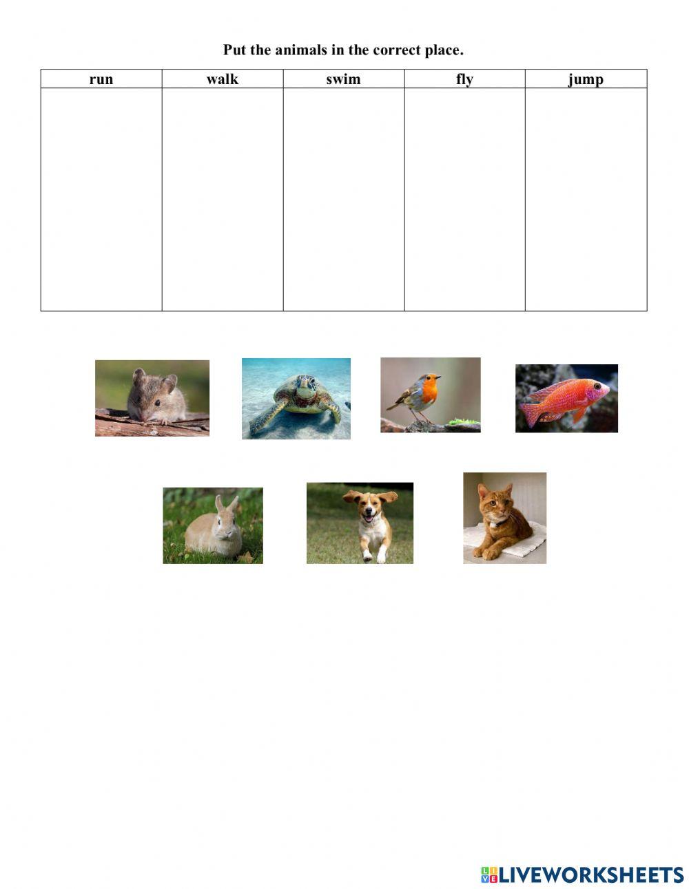 Show and tell 1 – Unit 8: What can you do?