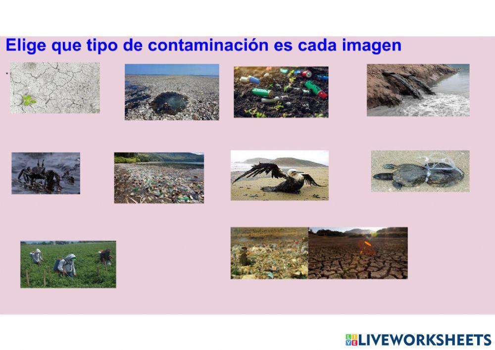 Contaminacion y desastres