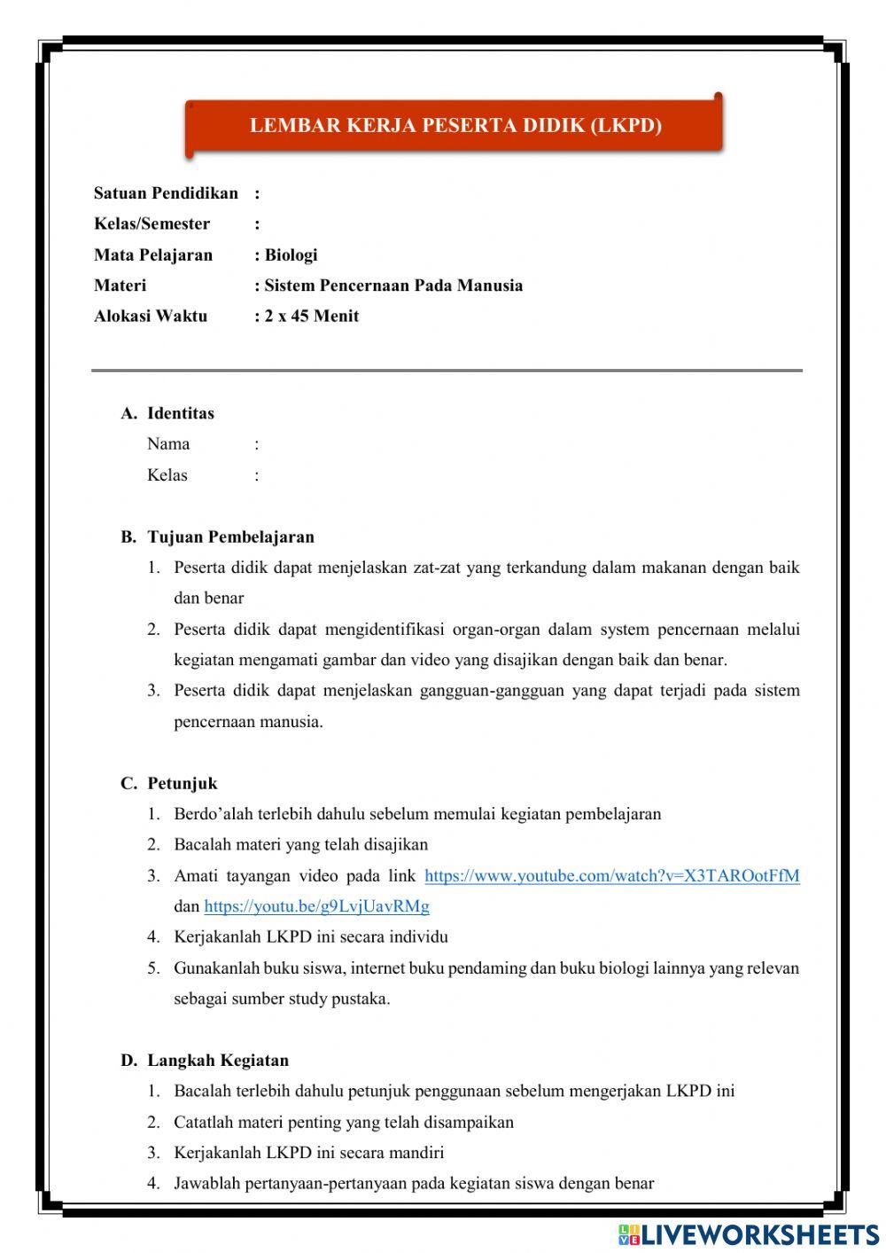 Lkpd sistem pencernaan pada manusia biologi kelas xi