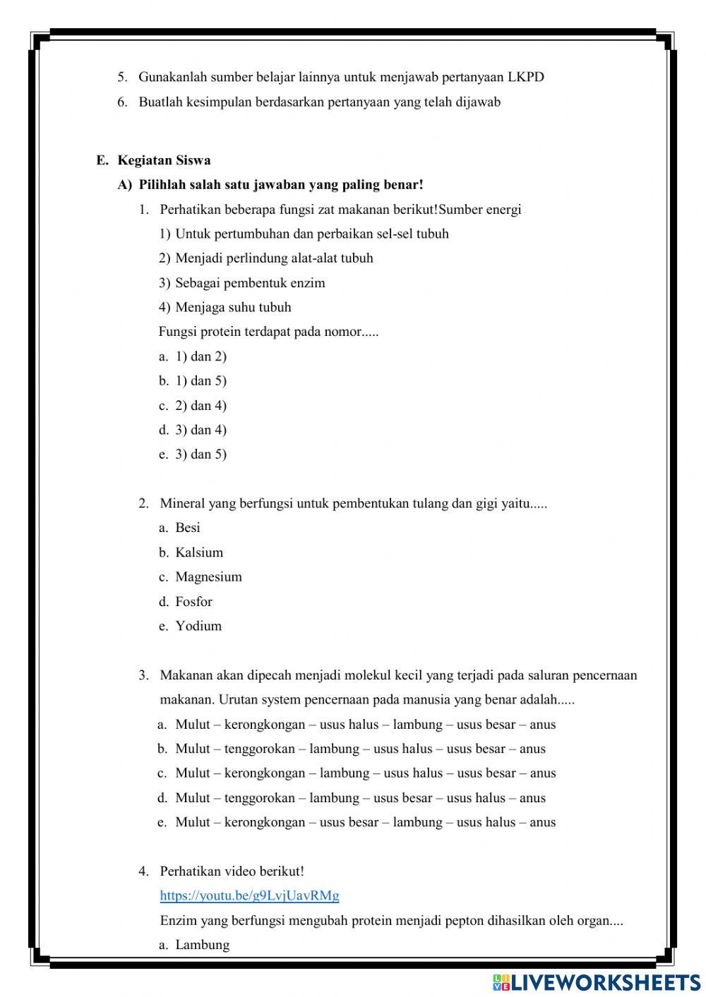 Lkpd sistem pencernaan pada manusia biologi kelas xi
