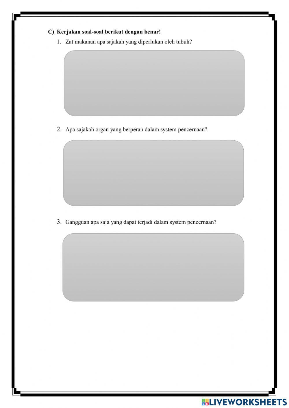 Lkpd sistem pencernaan pada manusia biologi kelas xi