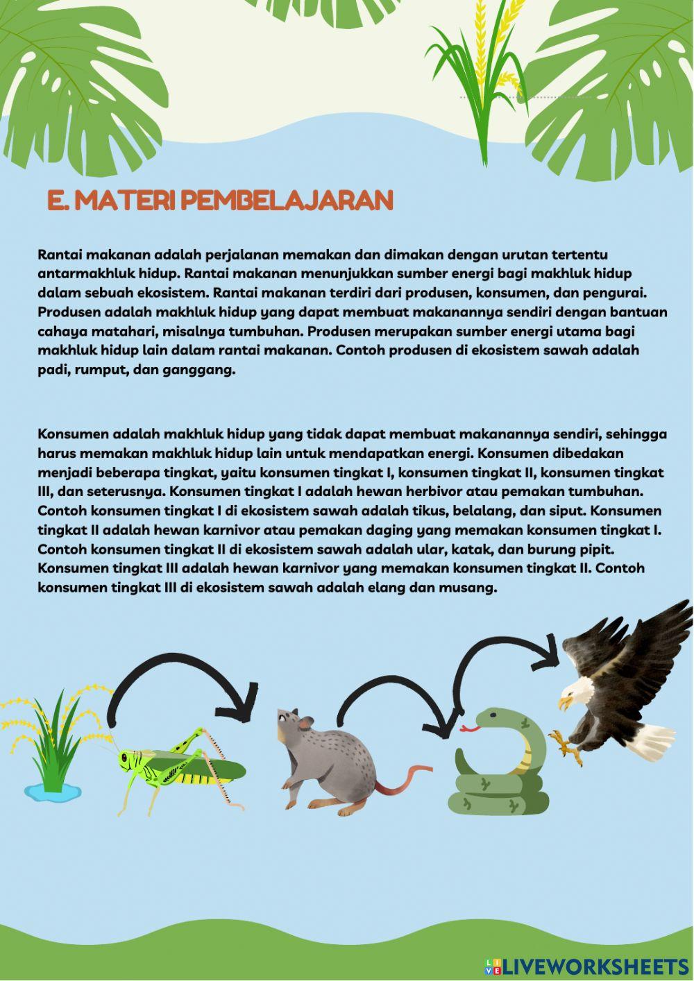 Lembar Kerja Siswa Ipa Ekosistem Rantai Makanan Tema 5 Subtema 2