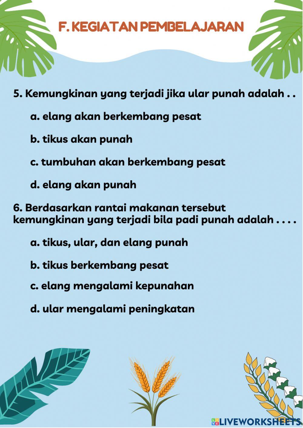 Lembar Kerja Siswa Ipa Ekosistem Rantai Makanan Tema 5 Subtema 2