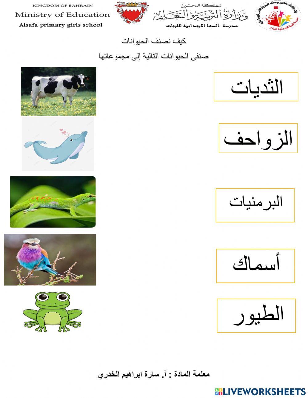 تصنيف الحيوانات