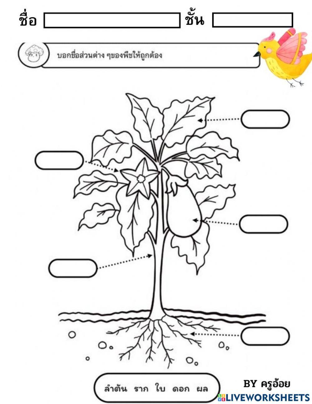 หน่วยต้นไม้