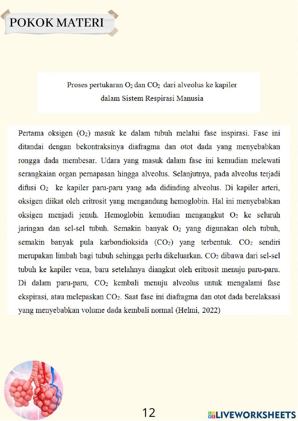 Revisi-Mekanisme Respirasi Manusia