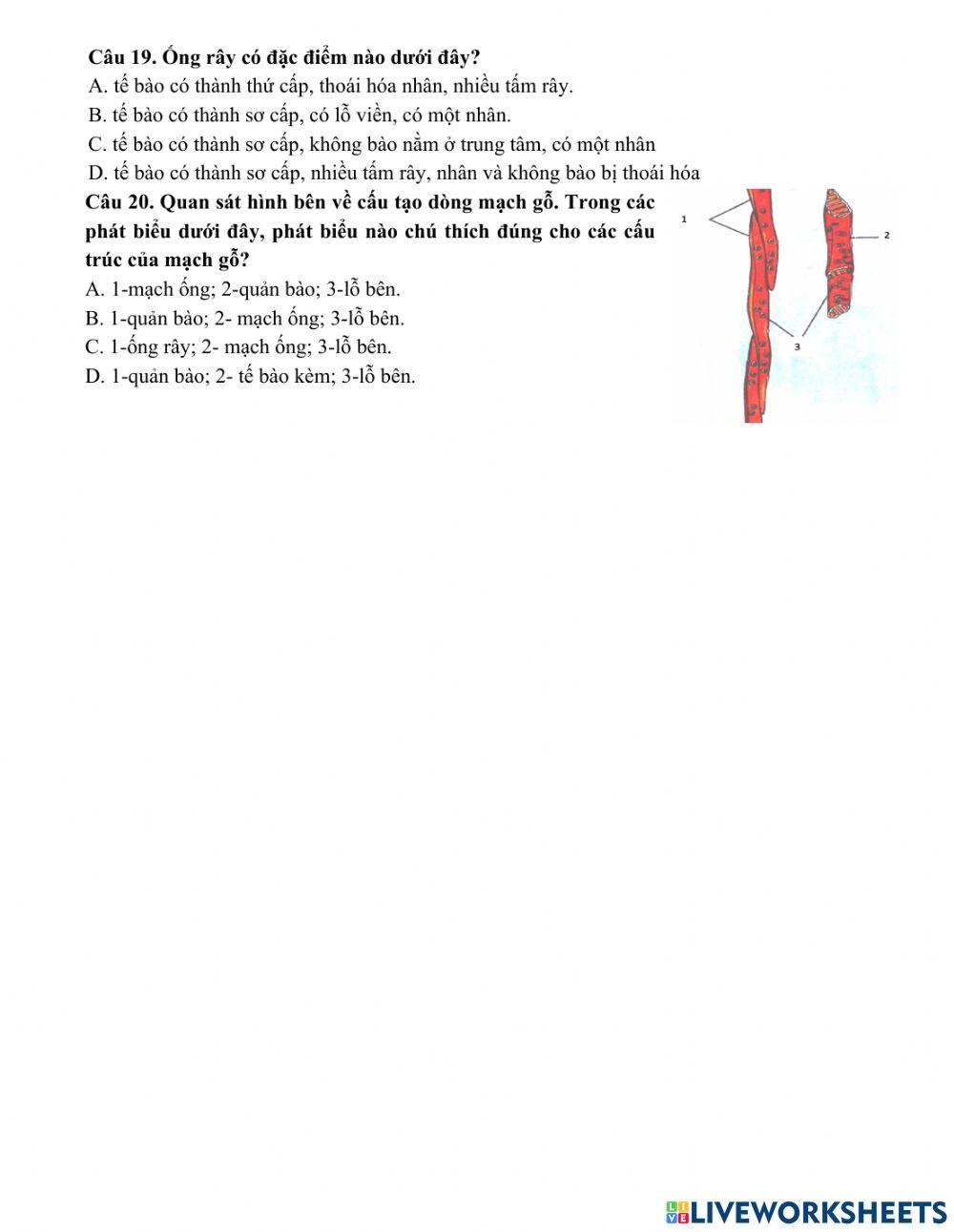 Bài tập trao đổi nước