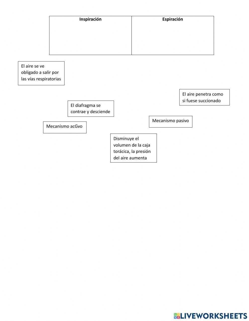 Examen de biologia 2bgu a