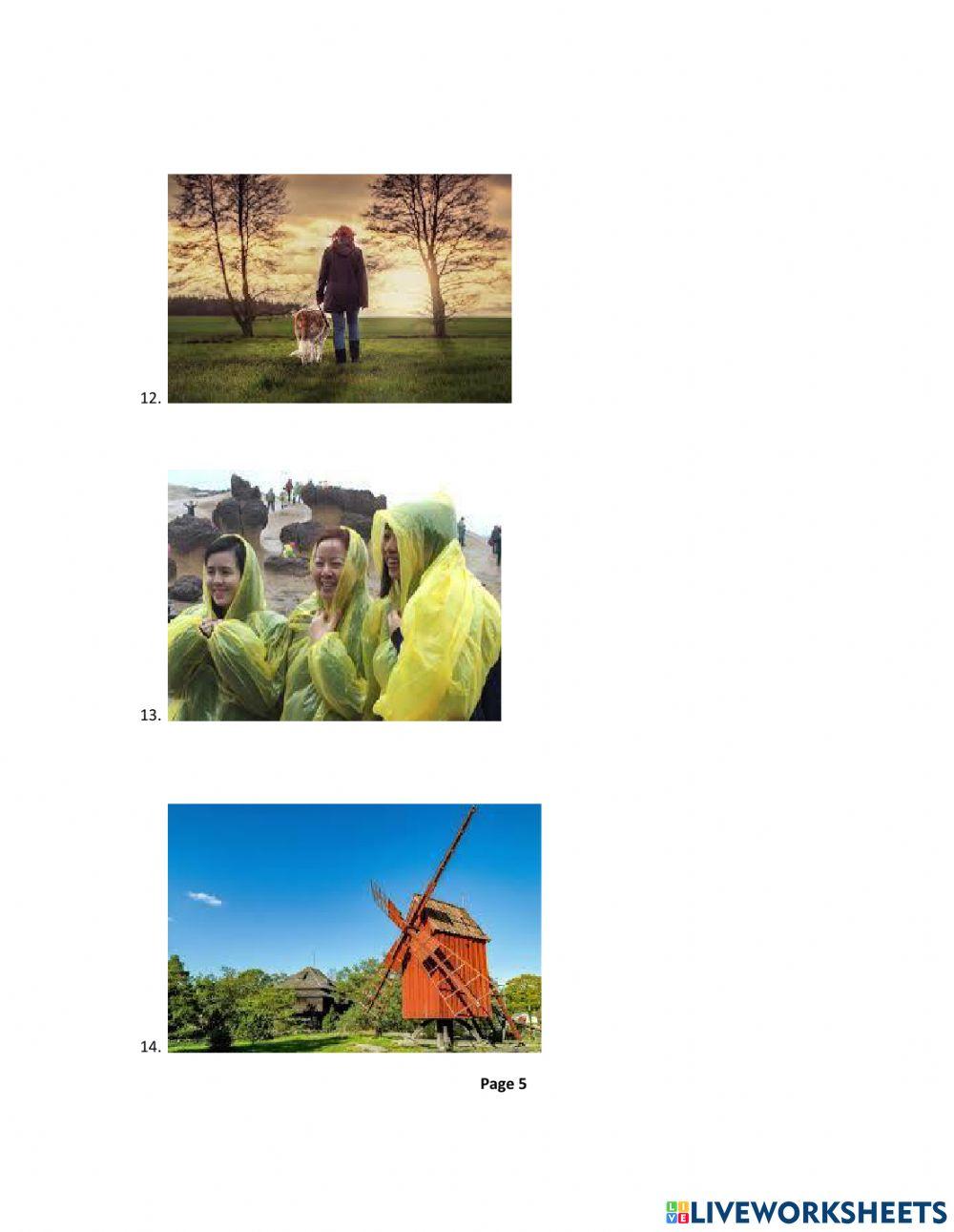 Paragraph Writing III