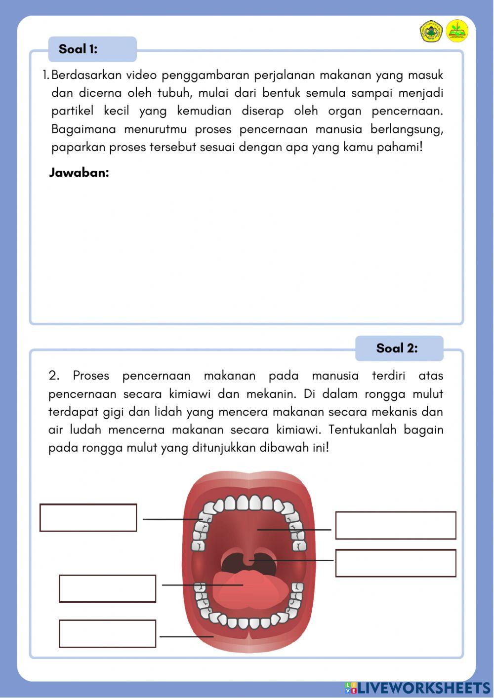Application: LKPD Saluran dan Kelenjar Pencernaan
