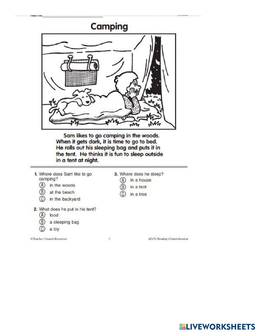 Reading comprehension