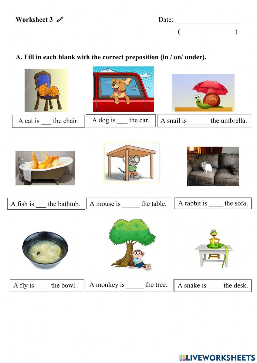 Mouse to Mouse (B) 3A