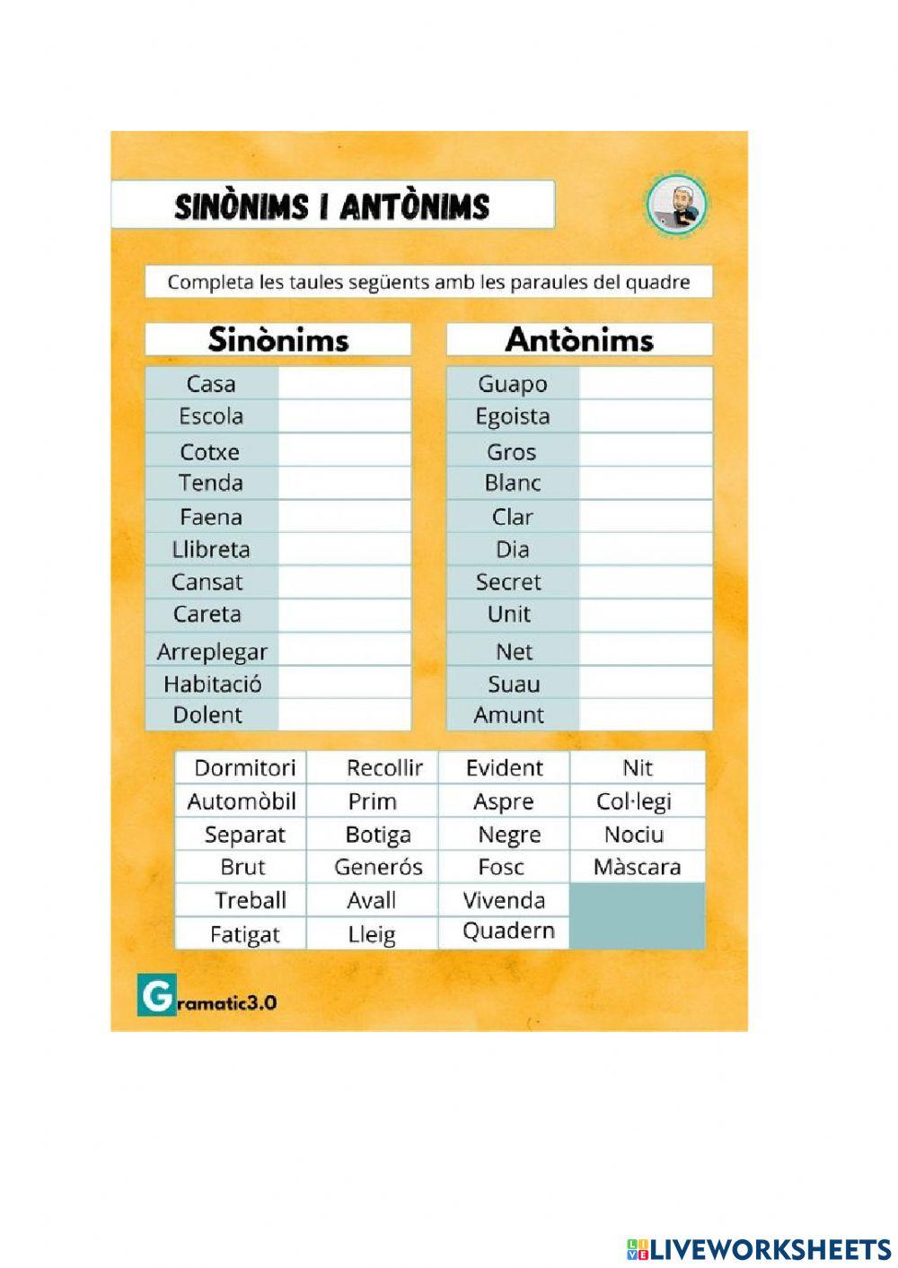 Sinònims i antònims