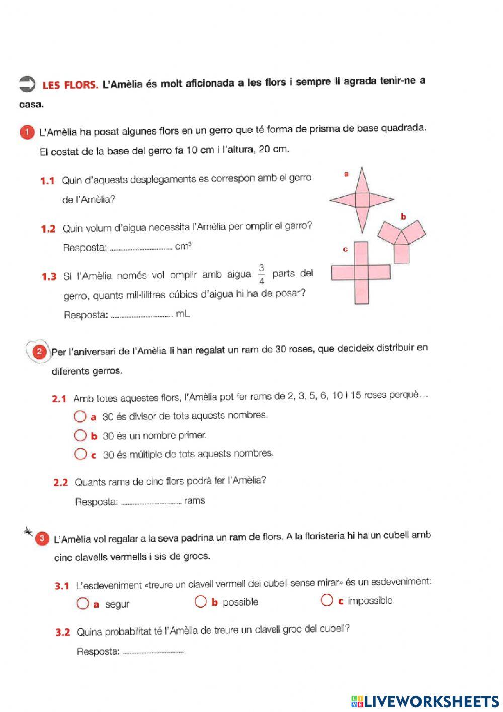 Problemes competencials