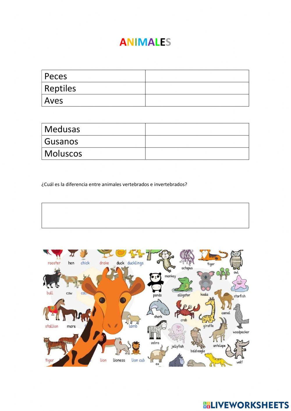 Animales vertebrados e invertebrados