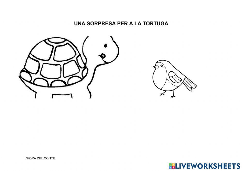Conte una sorpresa per a la tortuga
