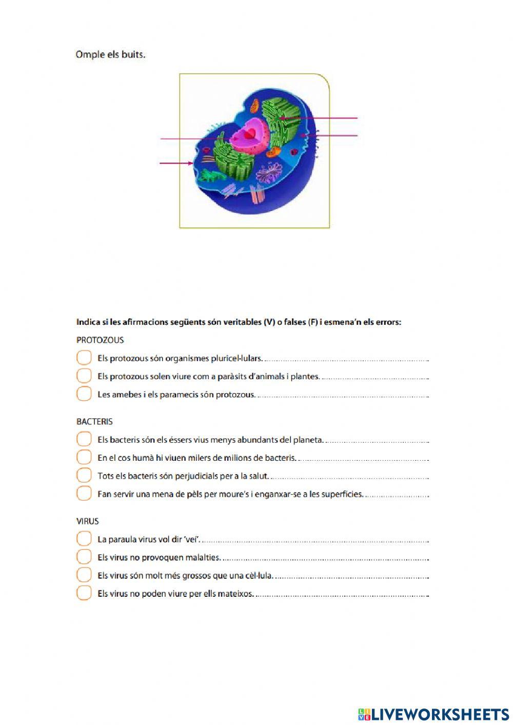 Grup 14 Liveworksheets