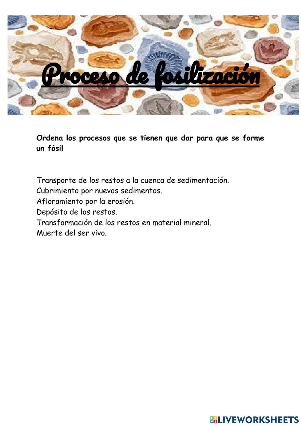 Proceso de fosilización