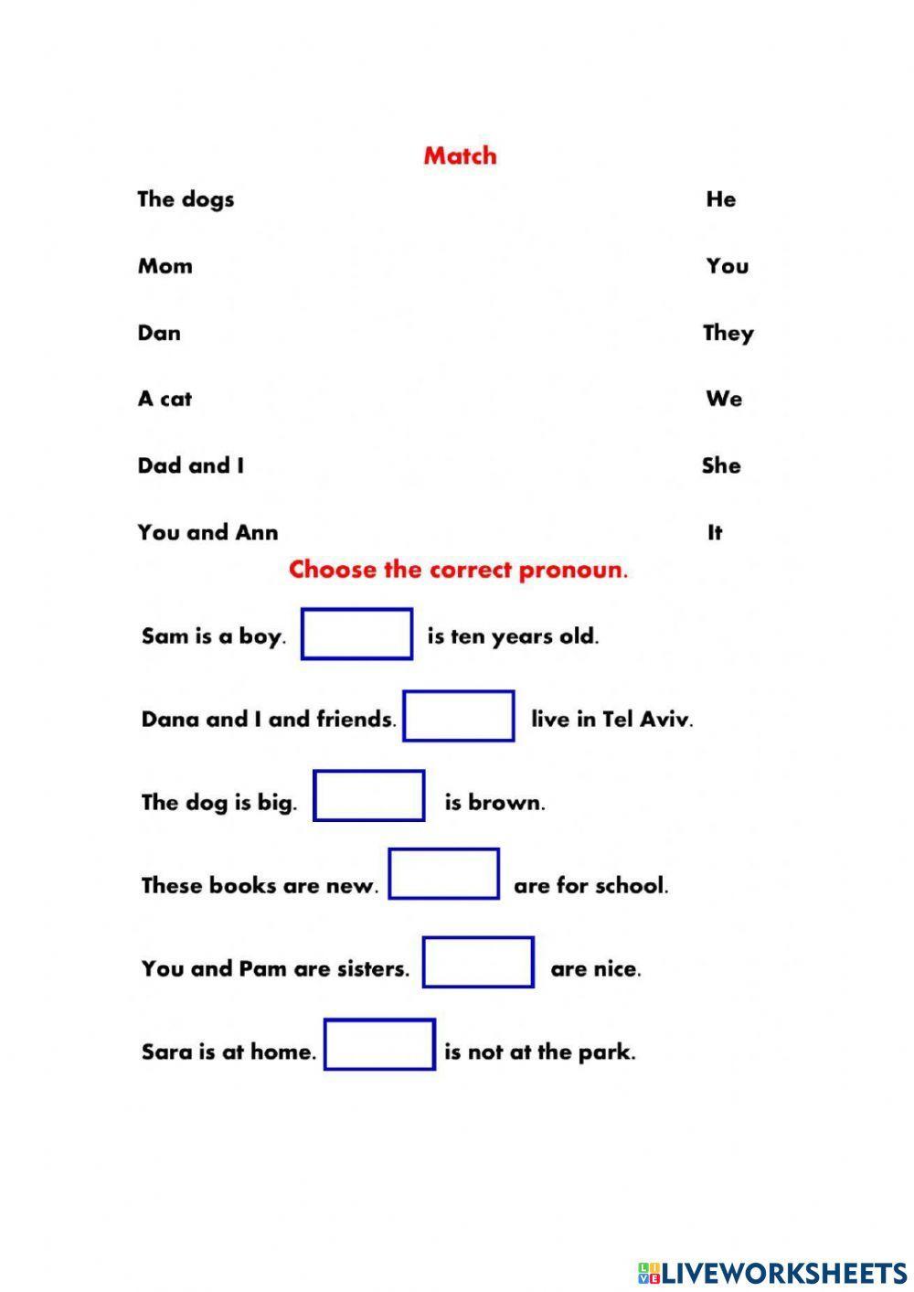 Personal Pronouns